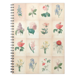 Vintage-Botanik-Aquarell von Redoute Notizbuch Notizblock