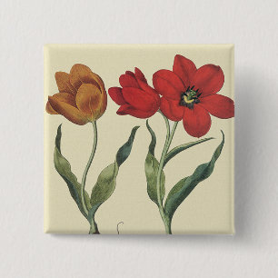 Vintage Botanik, blühende Tulip-Blume und Glühbirn Button