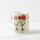 Vintage Botanik, blühende Tulip-Blume und Glühbirn Kaffeetasse (Mittel)
