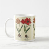 Vintage Botanik, blühende Tulip-Blume und Glühbirn Kaffeetasse (Links)