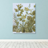 Vintage Botanik  Leinwanddruck (Insitu (Holzboden))