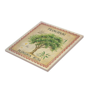 Vintage-Botanik-Plumeria-Baum-Art Deco Fliese