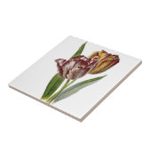 Vintage Botanik - Tulpen, Fliese (Seite)