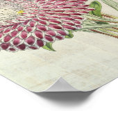 Vintage, botanisch gestreifte, mit Peony-Flows ges Poster (Ecke)