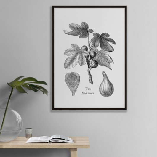 Vintage botanische Abb. Poster