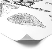 Vintage botanische Abb. Poster (Ecke)