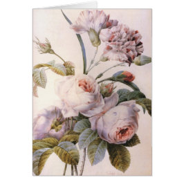 Vintage botanische Abbildung, rosa