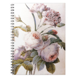 Vintage botanische Abbildung, rosa Notizblock