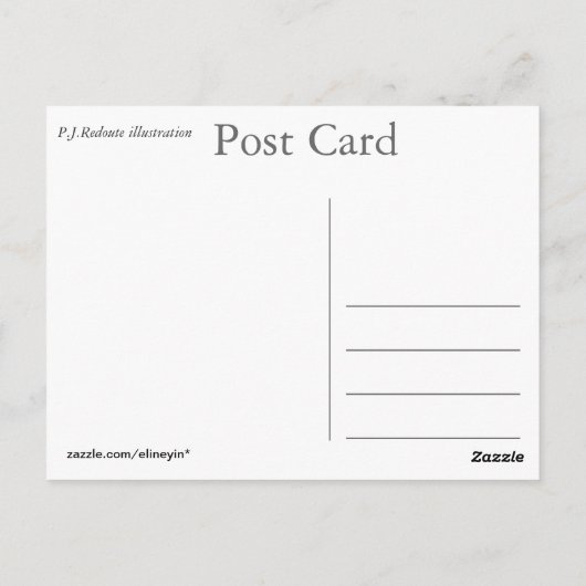 Vintage botanische Abbildung, rosa Postkarte (Rückseite)