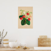 Vintage botanische Ananas Poster (Küche)