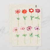 Vintage botanische AnemonIllustration Postkarte (Vorne/Hinten)