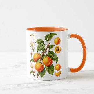 Vintage botanische Aprikosen-Illustration Tasse