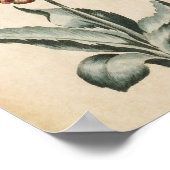 Vintage botanische Aurikula Poster (Ecke)