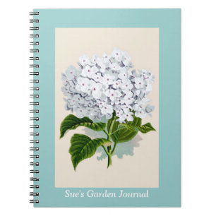 Vintage botanische Bilder von White Hydrangea Notizblock