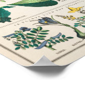 Vintage botanische Bildung Poster (Ecke)