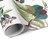 Vintage botanische Bildungstabelle Geschenkpapier (Rolleneckpunkt)