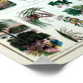 Vintage botanische Bildungstabelle Poster (Ecke)