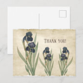 Vintage botanische blaubärtige Ire Vielen Dank Postkarte (Vorne/Hinten)