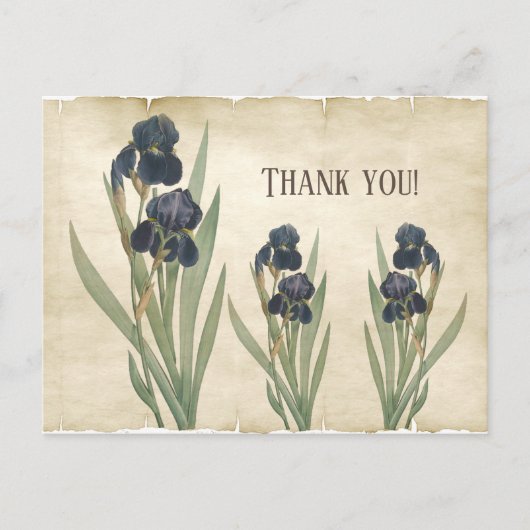 Vintage botanische blaubärtige Ire Vielen Dank Postkarte (Vorderseite)