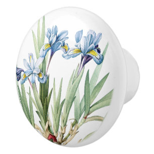 Vintage botanische blaue Iris-Blumen-Blumengriff Keramikknauf