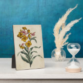 Vintage botanische Blume Fotoplatte (Seite)