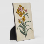 Vintage botanische Blume Fotoplatte (Seite)