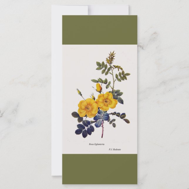 Vintage botanische Blume Gelb Rosa Lesezeichen (Vorderseite)