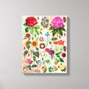 Vintage botanische Blume Illustrationen Naturkunst Leinwanddruck