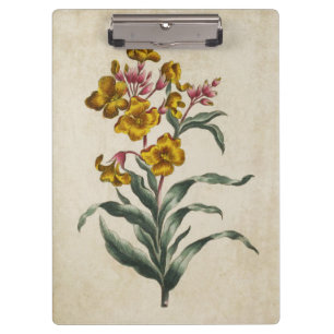 Vintage botanische Blume Klemmbrett