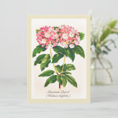Vintage botanische Blume Laurel (Stehend Vorderseite)