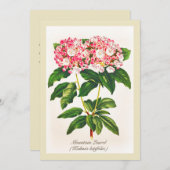 Vintage botanische Blume Laurel (Vorne/Hinten)