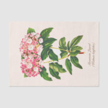 Vintage botanische Blume Laurel