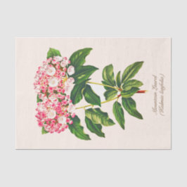 Vintage botanische Blume Laurel Seidenpapier
