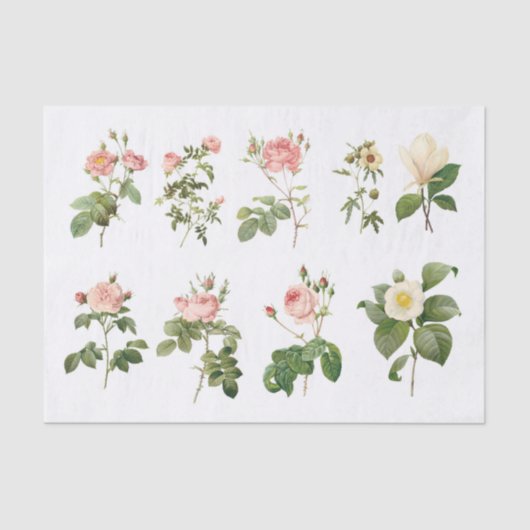 Vintage botanische Blume (nicht KI) Seidenpapier (Vorderseite)