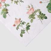 Vintage botanische Blume (nicht KI) Seidenpapier (Ausschnitt)