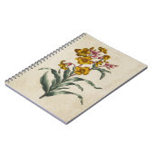 Vintage botanische Blume Notizblock (Linke Seite)
