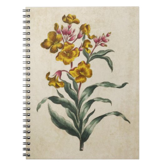 Vintage botanische Blume Notizblock (Vorderseite)