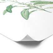 Vintage botanische Blume Poster (Ecke)