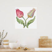 Vintage botanische Blume Tulip Poster (Küche)