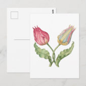 Vintage botanische Blume Tulip Postkarte (Vorne/Hinten)