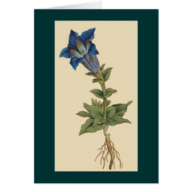 Vintage botanische Blumen-Karte (Vorne)