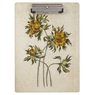 Vintage botanische BlumenaconitIllustration Klemmbrett