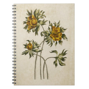Vintage botanische BlumenaconitIllustration Notizblock