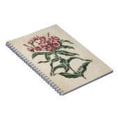 Vintage botanische Blumenbilder Notizblock (Rechte Seite)