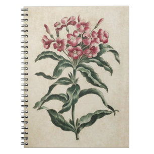 Vintage botanische Blumenbilder Notizblock
