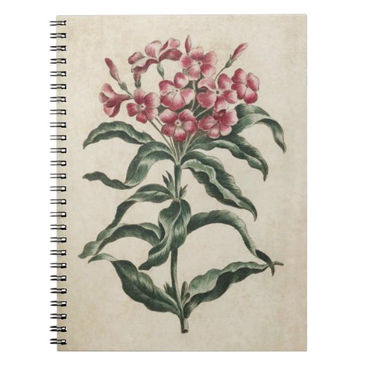 Vintage botanische Blumenbilder Notizblock (Vorderseite)