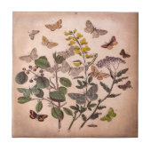 Vintage botanische Blumenillustrations-Wildblumen Fliese (Vorderseite)