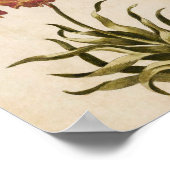 Vintage botanische Blumenkronen Poster (Ecke)