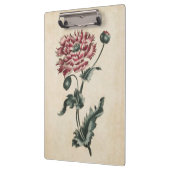 Vintage botanische Blumenmohnblüte Klemmbrett (Links)