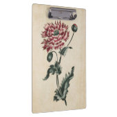 Vintage botanische Blumenmohnblüte Klemmbrett (Rechts)